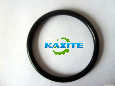 viton ring ตัวอย่างที่ทำขึ้นสำหรับลูกค้าของรัฐในสหรัฐและรอให้เฟดเอ็กซ์เข้ามา